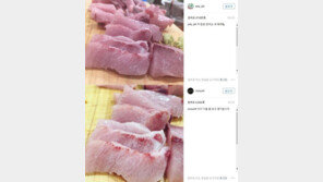 설리♥최자, SNS 데이트 인증샷…“이거 기름 좀 보고 얘기합니다”