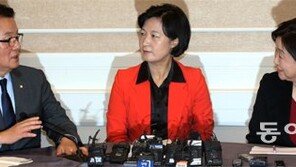 추미애-김무성 1일 회동… 野 “오직 탄핵” 강공속 플랜B 고민