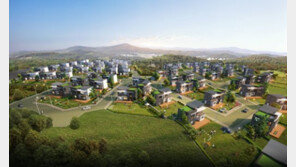 [화제의 분양현장]미군부대 인접한 수익형 단독주택 ‘평택그랜드캐슬’ 인기 