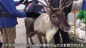 루돌프가 배달하는 피자? 日 피자업체 ‘순록 배달’ 예정