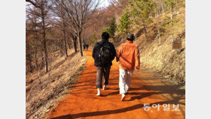 “대전에 이런 것이… ” 대전의 기네스 만들었다