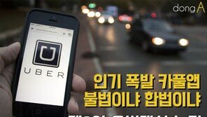 [카드뉴스] 인기 폭발 카풀앱…불법이냐 합법이냐?