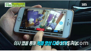 ‘포장이사 CCTV 생중계’ 아시나요?…SBS ‘생방송투데이’ 소개