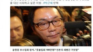 윤창중 “朴대통령 지켜야” 발언에…진선미·김현 “분노가 차올라” “참 지저분”