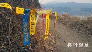 대청호 오백리길 ‘리본 공해’