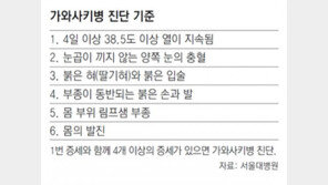 혹시, 아이가 고열 4일 이상 지속되고 눈 충혈? 