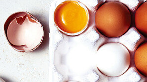 달걀이 왔어요~