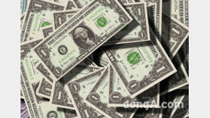 외환보유액 감소 “16개월만에 최다 낙폭…국제순위도 홍콩에 밀려 8위”