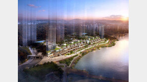 11.3 부동산대책 반사이익 누리는 상가 분양시장