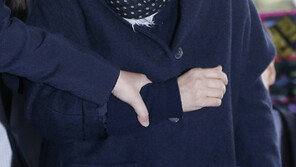 최순실·최순득·장시호, 줄줄이 청문회 불출석…동행명령장 발부 수순