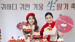 [유통정보]설빙, 겨울이 즐거운 이유? ‘生딸기 축제’ 본격 시작 外