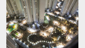 신도시 택지지구 시범단지, 초기 프리미엄 높아