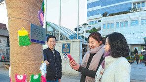 겨울옷 입은 가로수 눈길