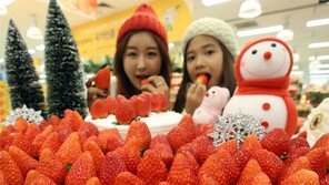 “딸기, 한겨울에도 즐기세요”