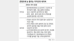 카카오도 콘텐츠사업 ‘드라이브’