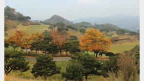 안성베네스트, 코스 품질-서비스 최고 수준