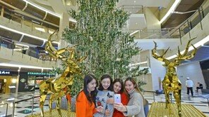 [포토]IFC몰, 높이 11m 대형 크리스털 크리스마스 트리 설치