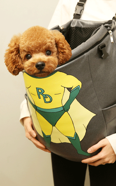 방수·보온 디자인까지 잡은 슬링백