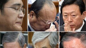 삼성에 집중된 청문회, 면세점 이슈 ‘조용’…특허심사 예정대로?