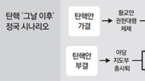 탄핵 가결 뒤에도 ‘與 정계개편-野 퇴진투쟁’… 혼란 불가피