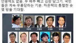 국회 청문회 핵심 증인 대거 불출석, 이외수 “배추 빼고 김장…차은택 기대”
