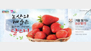 [2017 베스트셀링 브랜드]천혜의 자연 환경 속에서 자라는 최고의 친환경 딸기