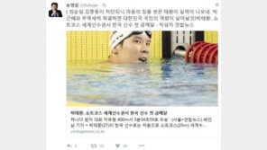 송영길 “김종 처단되니, 박태환 실력 나와…박근혜 부역세력 척결하면 국민 역량 살 것”