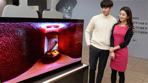 올레드 TV로 보는 佛 건축展