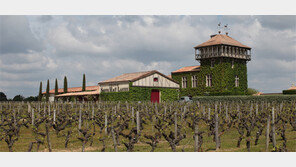 보르도 포도향에 취하고… 모네의 정원을 거닐다