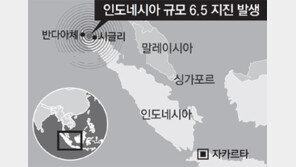 ‘쓰나미 참사’ 印尼 아체주 규모 6.5 강진… 97명 숨져