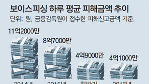 하루 4억… 서민 울리는 보이스피싱