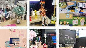 “힘든 직장생활, 내 자리만이라도 오아시스로” 책상 꾸미는 ‘데스크테리어族’