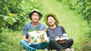 [공감 감동경영]‘입는 양잠’에서 ‘먹는 양잠’으로…효자상품이 된 ‘못난이 고구마’