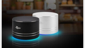 블루투스 오디오, 100만원대에서 1만원대까지, 업체는 400여개 이상