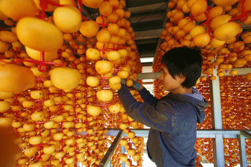 [엄마·아빠 어디가] 양촌곶감축제