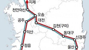 동탄·평택 부동산 시장 뒤흔든 SRT… 실거주 가치는?  