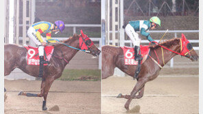 경마팬 사로잡은 ‘클린업조이-트리플나인’