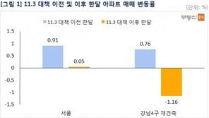 11.3 부동산 대책 이후 서울 아파트값 하락세