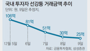 ‘시큰둥’ 선강퉁… 국내서 일주일간 300억 거래