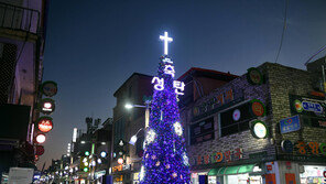 양구군 ‘희망의 트리’