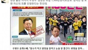 이외수 “공개수배 우병우, 잠적한 걸 보면 ‘죄 인정한다’는 뜻”