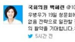 백혜련 “우병우, 19일 청문회 출석…우병우 ‘자존심’ 건드리는 전략 추천”