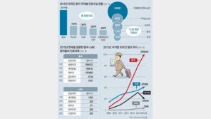 의료관광객 33% 중국인… ‘큰손’은 1인당 1500만원 UAE