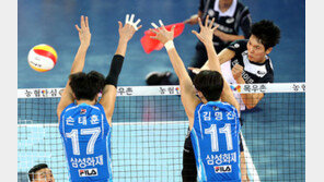 [취재파일] ‘배구 이상의 의미’ V-클래식 마케팅 유감