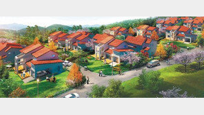 [화제의 분양현장]평택 주한미군 전용 렌털하우스 ‘파인힐타운’