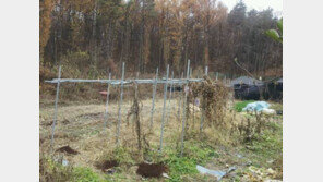 [화제의 분양현장]‘백운지식문화밸리’ 인근토지 3.3m²당 19만원 분양