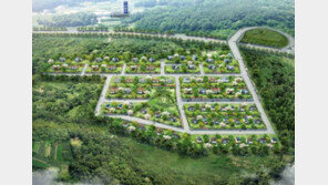 [화제의 분양현장]김포도시철도 3분… 타운하우스 