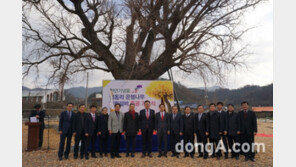 한국전기공사협회, 천연기념물 노거수 낙뢰피해 보호 앞장