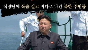 [카드뉴스]식량난에 목숨 걸고 바다로 나간 北 주민들