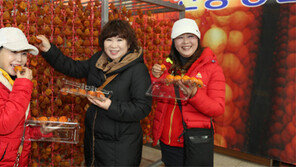 충북 영동서 18일까지 곶감축제 열려